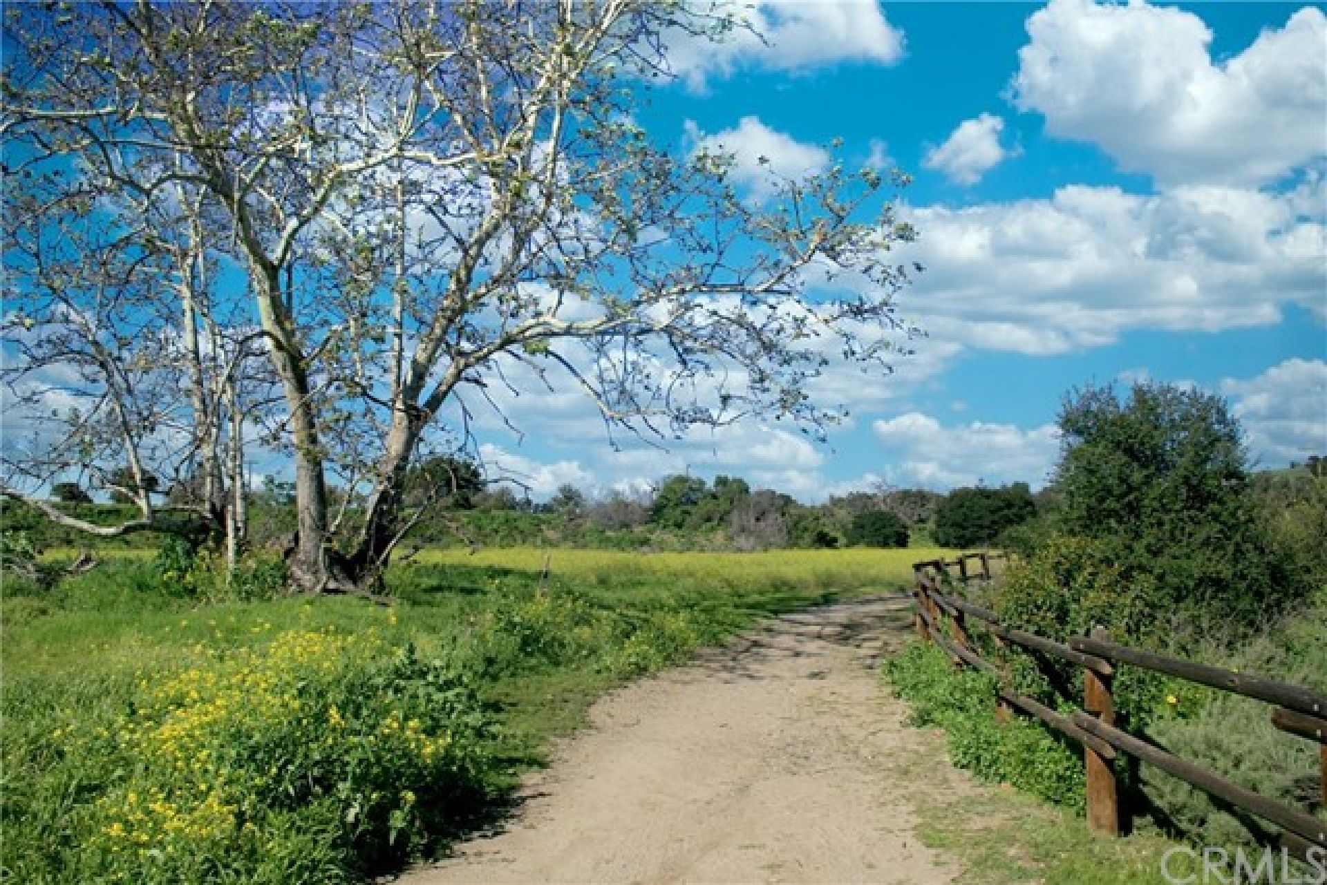 27547 Via Ramona, San Juan Capistrano CA: 