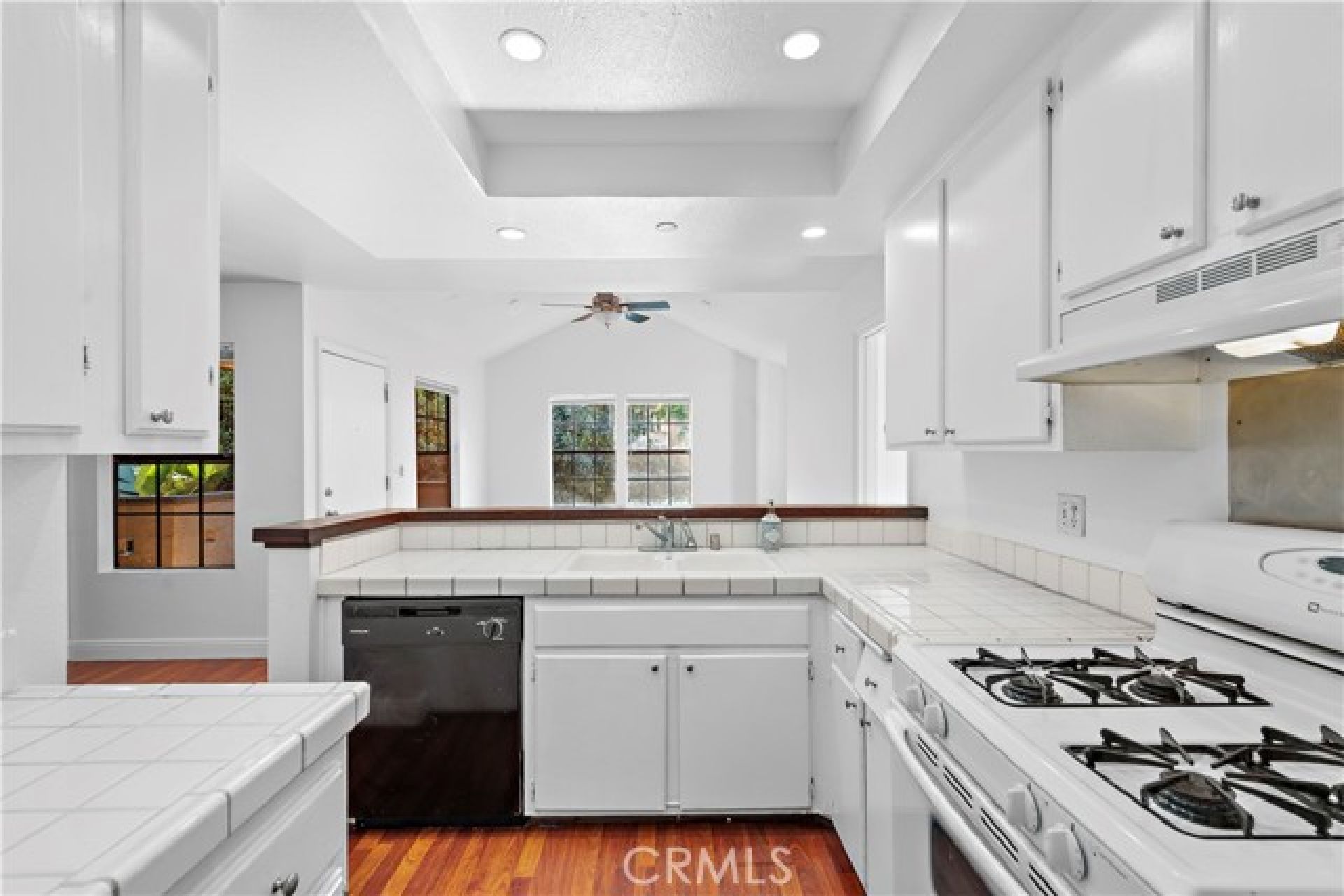 1066 Calle Del Cerro, San Clemente CA: 